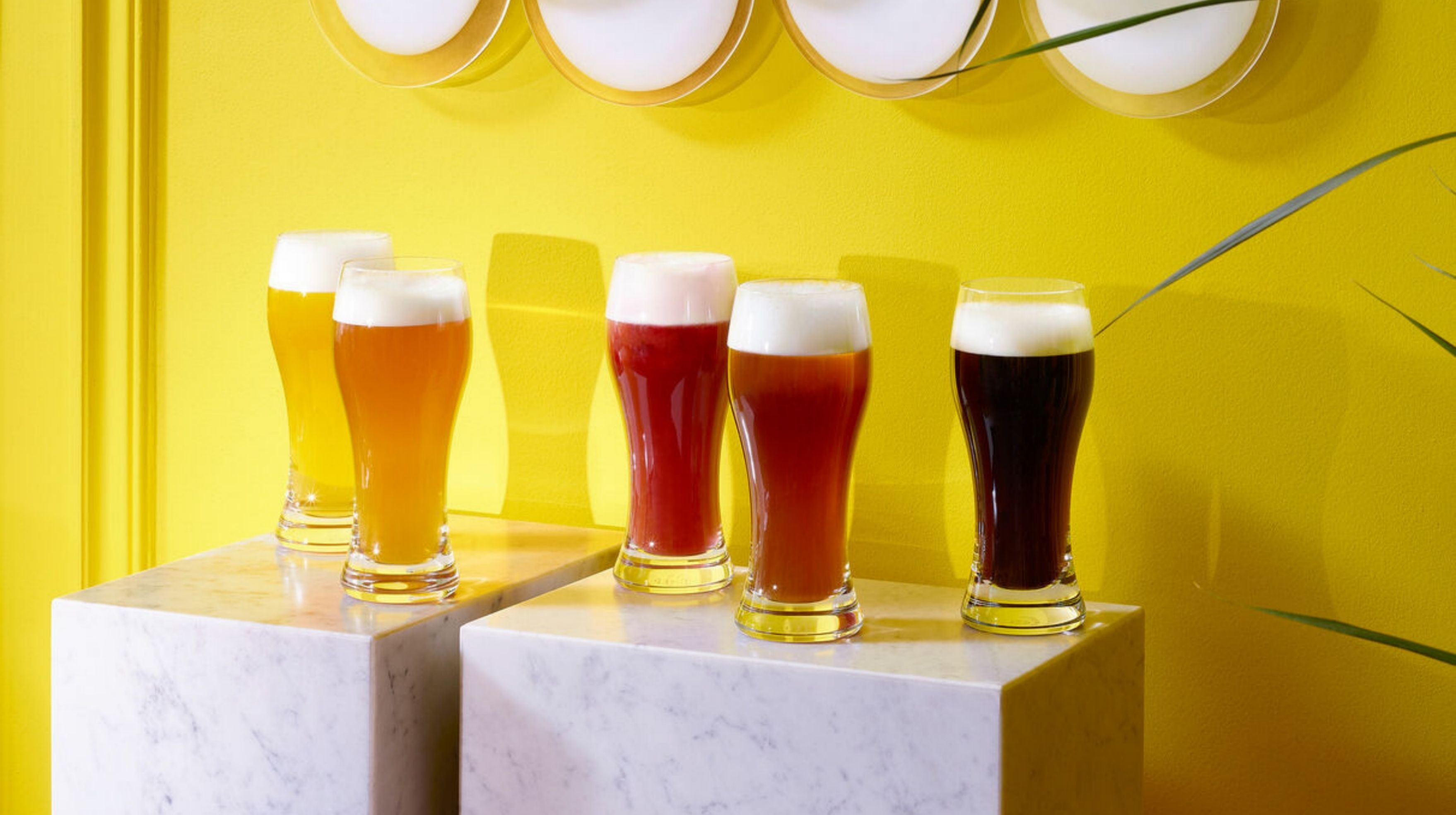 <b><a href="https://mdmaison.com/brands/baccarat"><b>Baccarat</b></b> Oenologie</a>